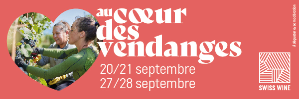 Au coeur des vendanges - Swiss Wine 2025! 