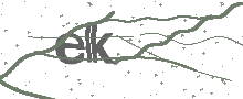 Captcha Bild